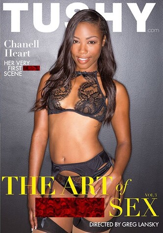 The Art Of Anal Sex 3