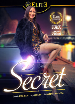 Porno DVD: Le Secret