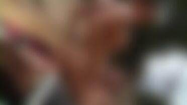 Porn In The U.S.A. DVD | DVDEROTIK.com